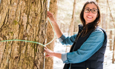 Could maple water replace coconut water? Ontario producers hope so