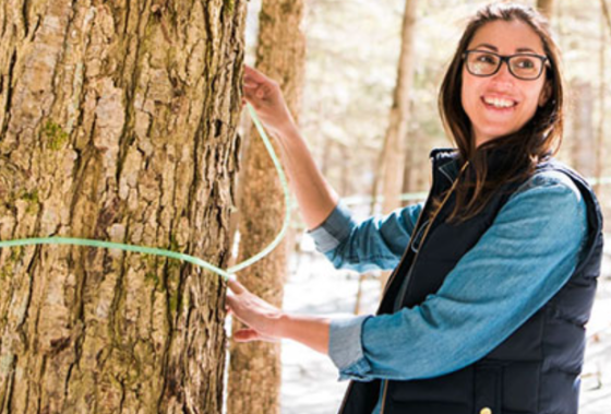 Could maple water replace coconut water? Ontario producers hope so