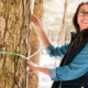 Could maple water replace coconut water? Ontario producers hope so