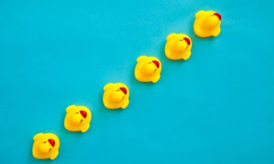 Rubber ducks in a line