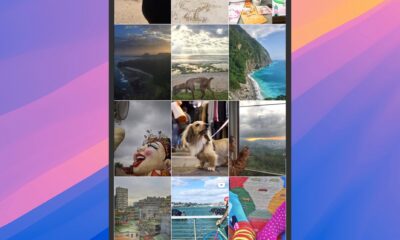 How to save all your old Instagram stories and posts