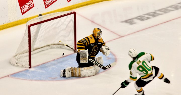 London Knights shut down Brantford Bulldogs in 5-0 win - London