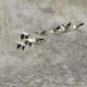 Quebec man fined $20K for hunting snow geese without permit