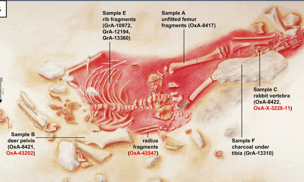 Scientists pinpoint age of suspected human-Neanderthal hybrid child