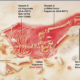 Scientists pinpoint age of suspected human-Neanderthal hybrid child