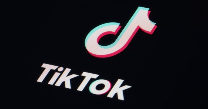 TikTok deal to keep it in U.S. will come by April deadline, Vance says - National