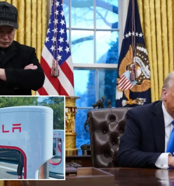 Trump announces he'll buy brand new Tesla to support Elon Musk's 'baby' following boycotts, dropping stock