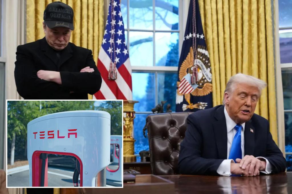 Trump announces he'll buy brand new Tesla to support Elon Musk's 'baby' following boycotts, dropping stock