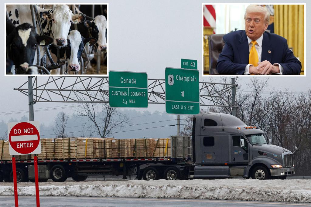 Trump announces reciprocal tariffs on Canadian dairy, lumber if rate doesn't drop