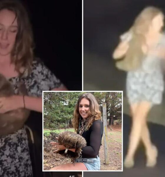 US influencer Sam Jones breaks silence after Australia baby wombat scandal