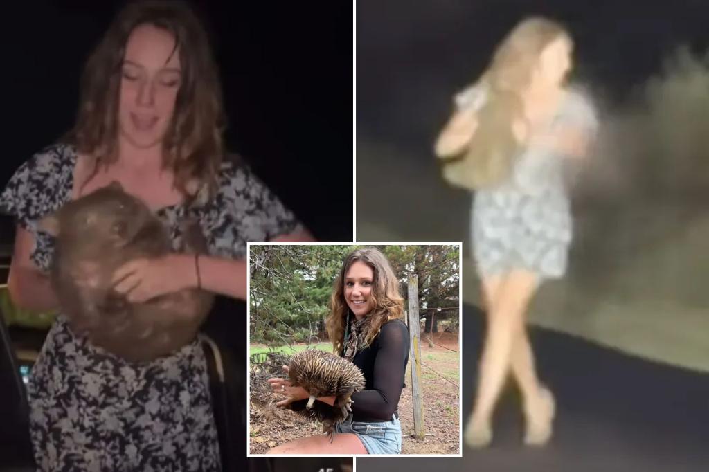 US influencer Sam Jones breaks silence after Australia baby wombat scandal