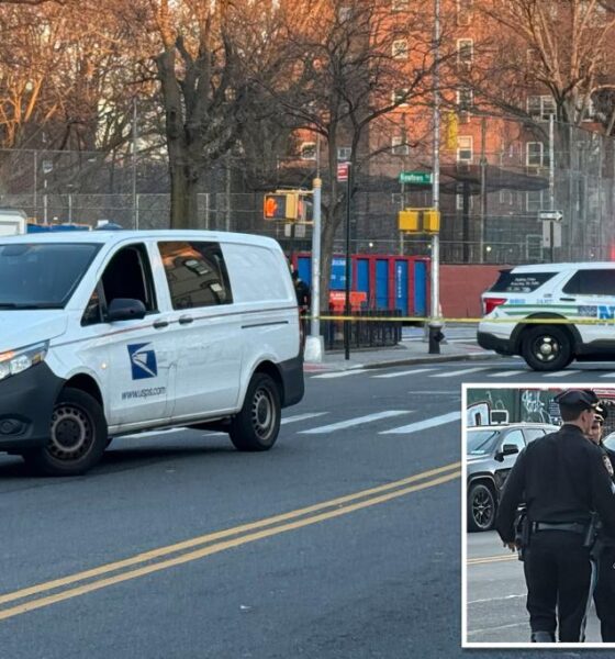 USPS van strikes woman, 94, and pins her underneath vehicle on NYC street: police