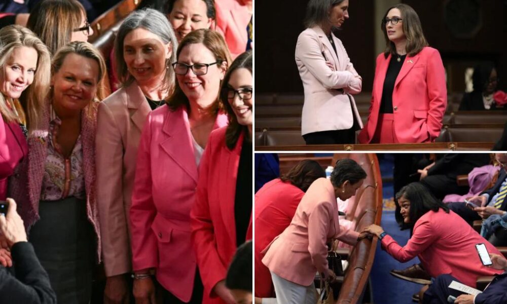 Why female Dem lawmakers are wearing pink to Trump's address to Congress