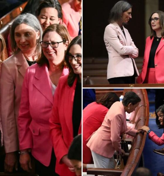 Why female Dem lawmakers are wearing pink to Trump's address to Congress