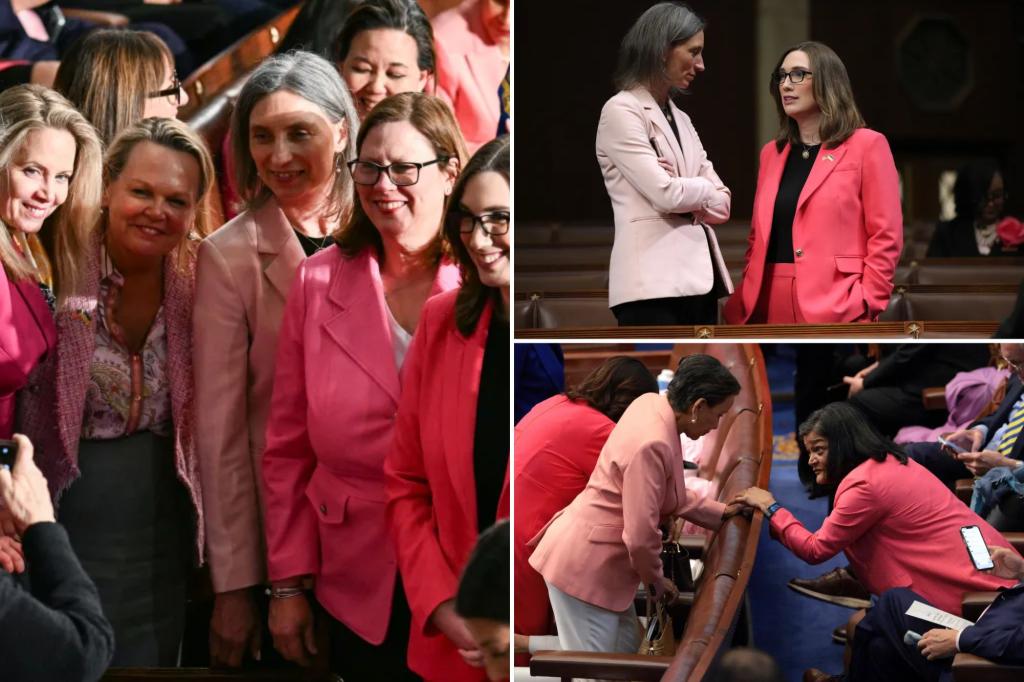 Why female Dem lawmakers are wearing pink to Trump's address to Congress