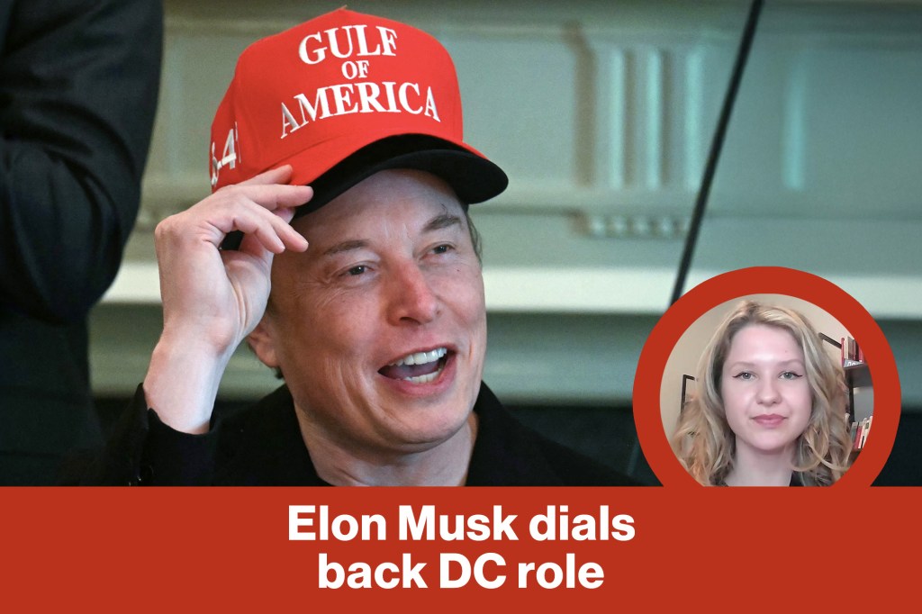 Elon Musk dials back DC role | Reporter Replay (Video)