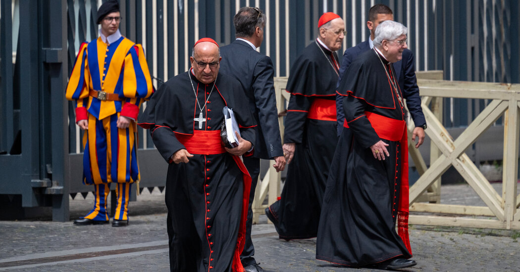 Mourners Pay Respect to Pope Francis as Cardinals Fine Tune Funeral Plans