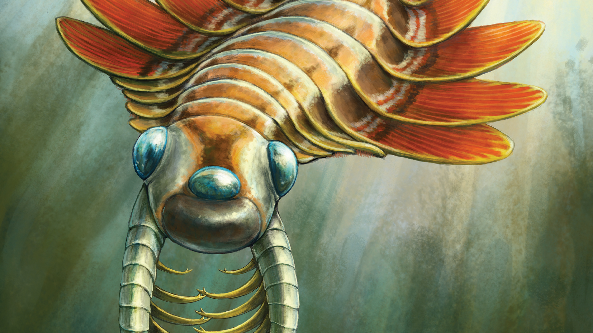 Ancient three-eyed ‘sea moth’ used its butt to breathe