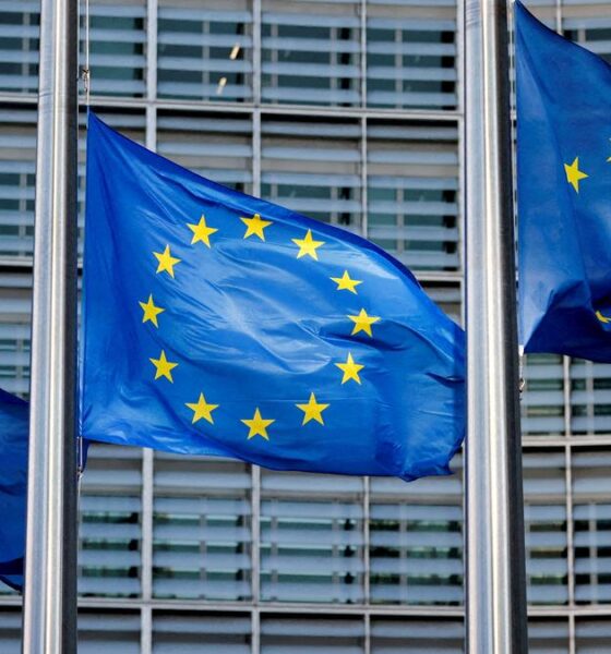 EU faces heat over millions paid to Musk firms