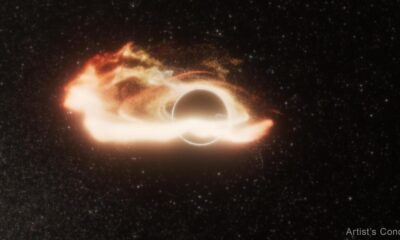 Hubble observes a rogue black hole devouring a star