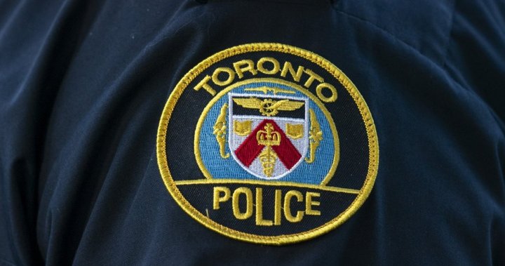 Injured man rescued after plane lands in Lake Ontario near Toronto’s east end: police - Toronto