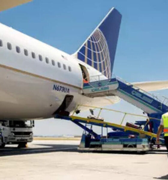 Major Indian airports cut ties with Celebi following security clearance revocation, ET TravelWorld