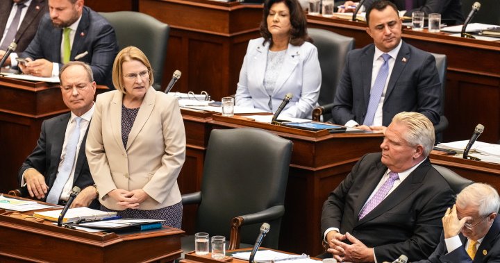 Ontario reimbursed $219K for palliative, homecare medical supplies shortage