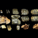 These human ancestors weren't as lonely as experts thought