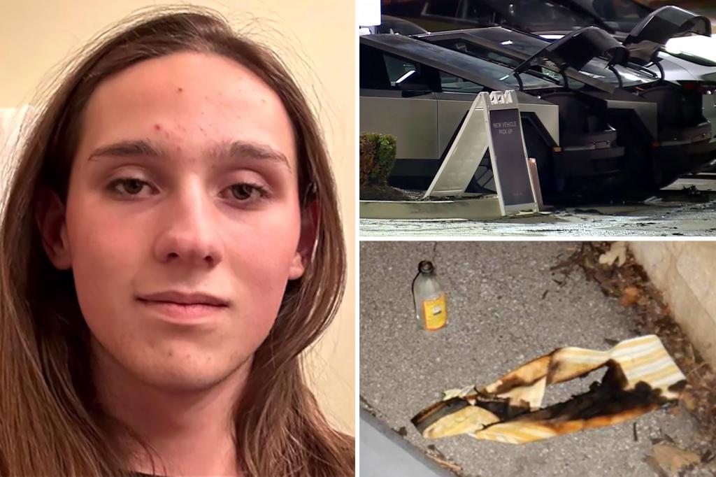 UMass student Owen McIntire charged in Tesla firebombing released from federal custody to continue gender-affirming medical care