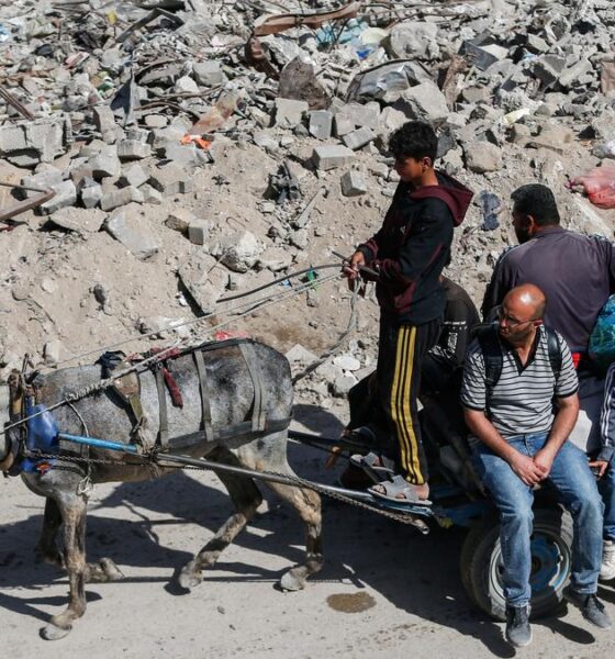 ‘We’re looking at Gaza. A lot of people are starving,’ says Trump